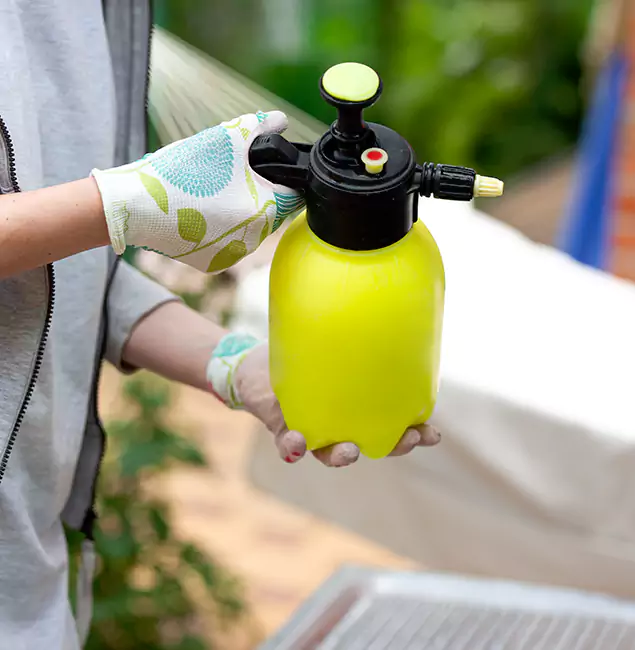 Why Choose Us: Roswell Pest Control Pros Termite Spraying Experts in Roswell, GA?