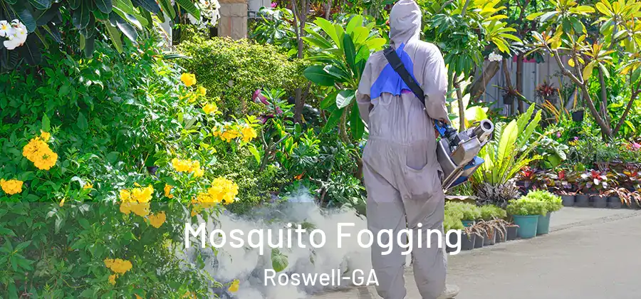  Mosquito Fogging Roswell-GA