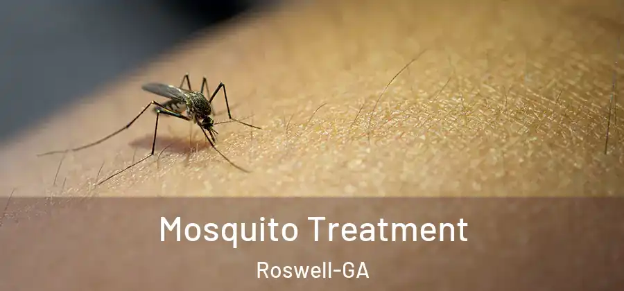  Mosquito Treatment Roswell-GA