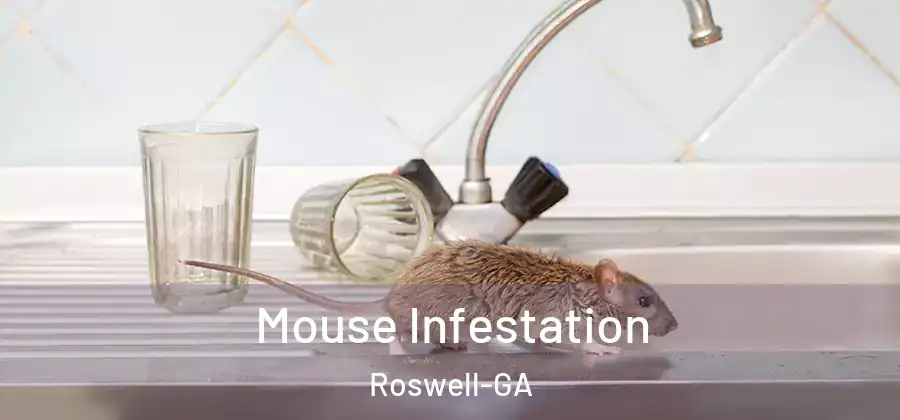  Mouse Infestation Roswell-GA
