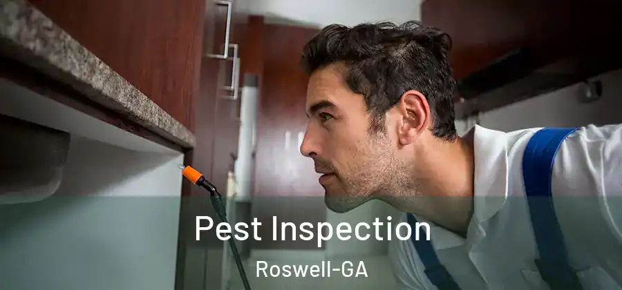 Pest Inspection Roswell-GA
