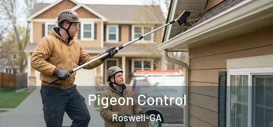  Pigeon Control Roswell-GA