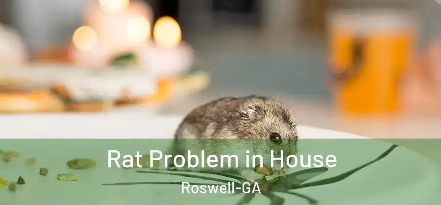 Rat Problem in House Roswell-GA