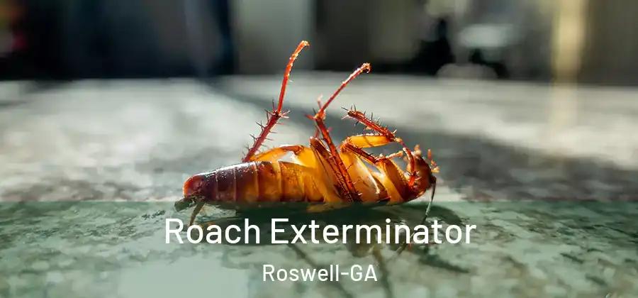 Roach Exterminator Roswell-GA