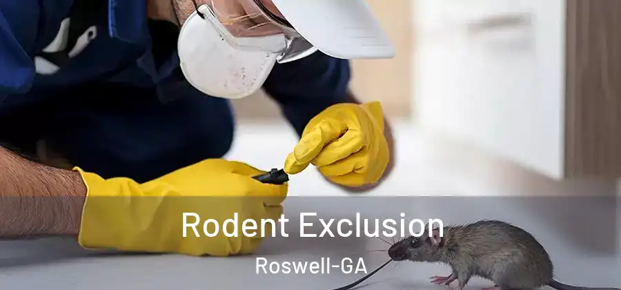 Rodent Exclusion Roswell-GA