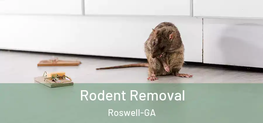  Rodent Removal Roswell-GA