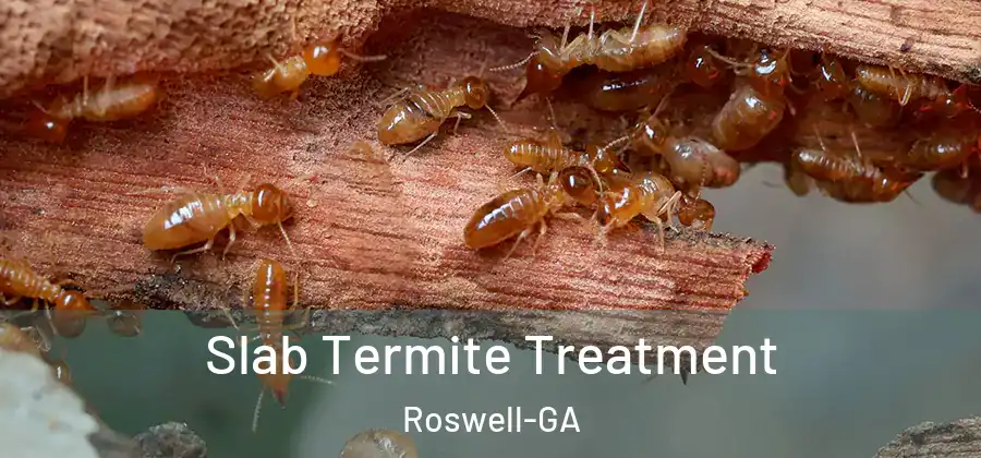 Slab Termite Treatment Roswell-GA