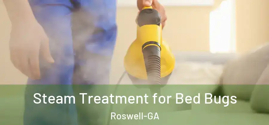 Steam Treatment for Bed Bugs Roswell-GA