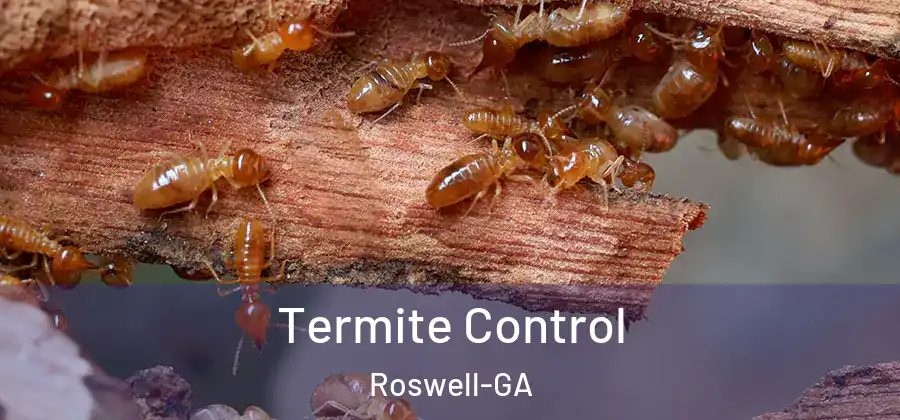  Termite Control Roswell-GA