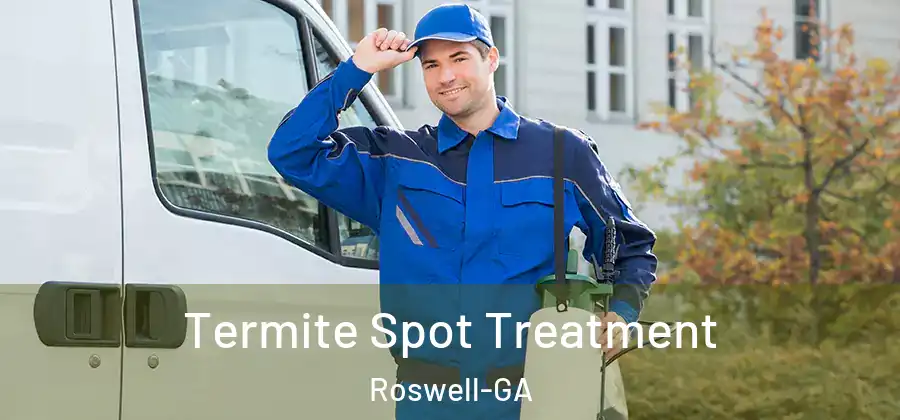 Termite Spot Treatment Roswell-GA