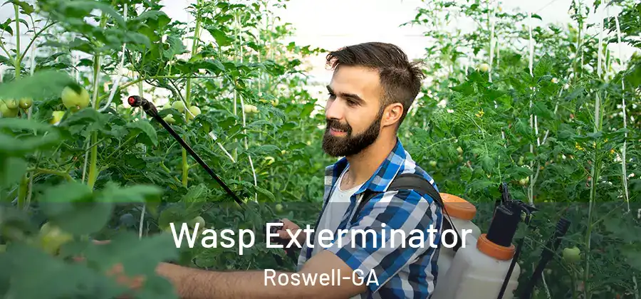 Wasp Exterminator Roswell-GA