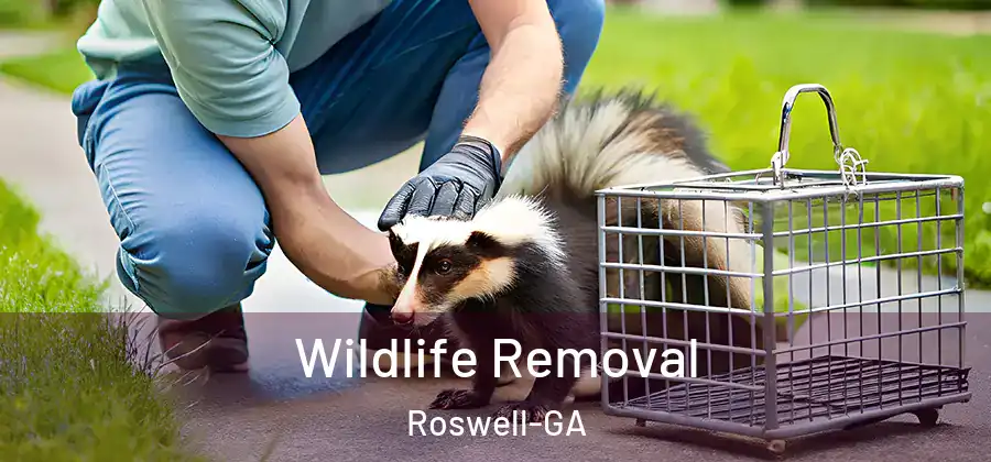  Wildlife Removal Roswell-GA
