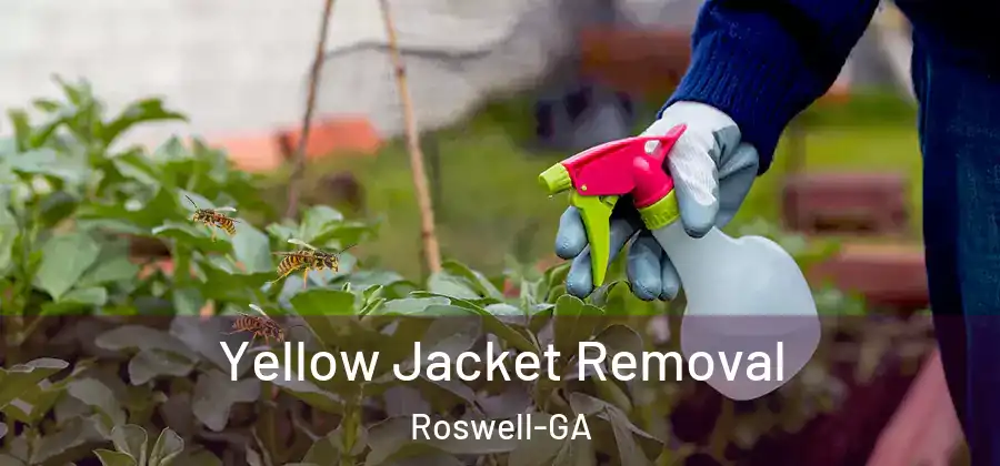 Yellow Jacket Removal Roswell-GA
